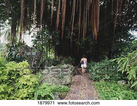 Stock Image - Woman Walking On Path In A Garden. Fotosearch