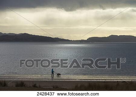 Woman walking pair of dogs along Benderloch beach; Argyll and Bute, Scotland View Large Photo Image Stock Photo - Woman walking pair of dogs along Benderloch beach; Argyll and Bute, Scotland. Fotosearch