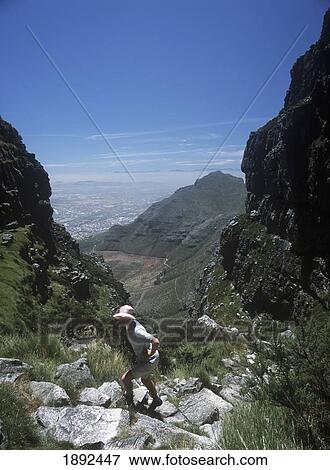 Woman Walking Up Platteklip Gorge To Top Of Table Mountain View Large Photo Image Stock Photo - Woman Walking Up Platteklip Gorge To Top Of Table Mountain. Fotosearch