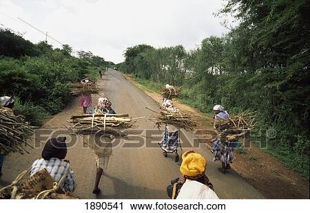 Stock Image - Women Carrying Firewood On Country Road. Fotosearch