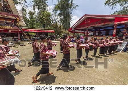 Women in a formal funeral procession called MaÆpassa Tedong at a rante, the ceremonial site for a Torajan funeral, in Sereale, Toraja Land, South Sulawesi, Indonesia View Large Photo Image Stock Image - Women in a formal funeral procession called MaÆpassa Tedong at a rante, the ceremonial site for a Torajan funeral, in Sereale, Toraja Land, South Sulawesi, Indonesia. Fotosearch