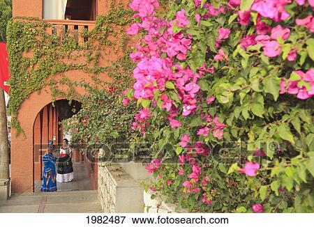 Women In Traditional Folkloric Dresses In Downtown In The Early Morning; Todos Santos Baja California Sur Mexico View Large Photo Image Stock Photo - Women In Traditional Folkloric Dresses In Downtown In The Early Morning; Todos Santos Baja California Sur Mexico. Fotosearch