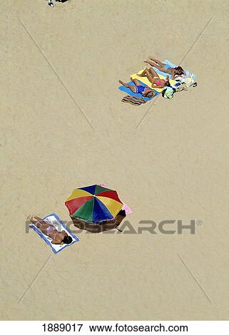 Women Sunbathing On Beach, Aerial View View Large Photo Image Stock Photo - Women Sunbathing On Beach, Aerial View. Fotosearch