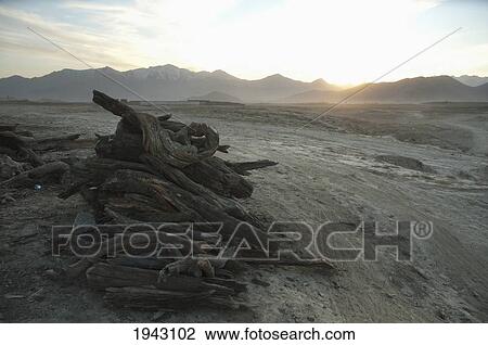 Stock Image - Wood And Used Tire Vendor In Maidan Shar At Sunset, Vardak Province, Afghanistan. Fotosearch
