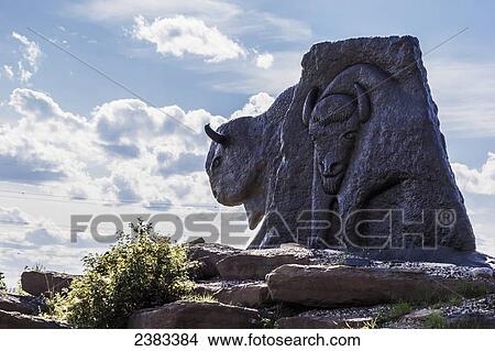 Wood bison statues at the Syncrude Gateway Hill Reclaimation Park in Alberta's oil sands region, a popular tourist stop; Fort McMurray, Alberta, Canada View Large Photo Image Picture - Wood bison statues at the Syncrude Gateway Hill Reclaimation Park in Alberta's oil sands region, a popular tourist stop; Fort McMurray, Alberta, Canada. Fotosearch