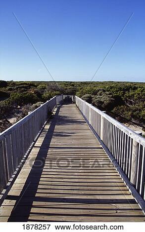 Wooden Boardwalk, South Australia View Large Photo Image Stock Photo - Wooden Boardwalk, South Australia. Fotosearch