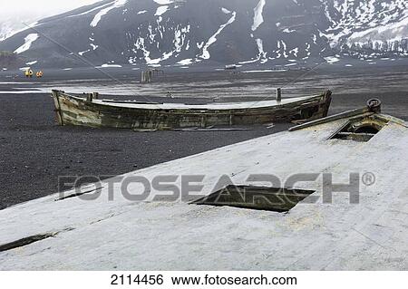 Stock Photograph - Wooden Boats Sitting On The Shore With Tourists In Yellow Jackets In The Background; Whalers Bay Antarctica. Fotosearch