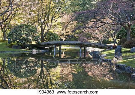 Wooden Bridge In Nitobe Memorial Garden A Traditional Japanese