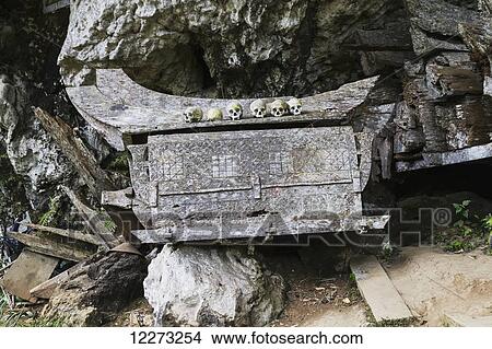 Picture - Wooden coffin and skulls on a rocky outcrop, Kete Kesu, Toraja Land, South Sulawesi, Indonesia. Fotosearch