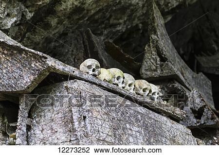 Stock Image - Wooden coffin and skulls on a rocky outcrop, Kete Kesu, Toraja Land, South Sulawesi, Indonesia. Fotosearch
