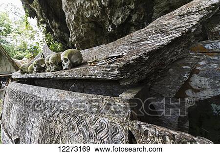 Wooden coffin and skulls on a rocky outcrop, Kete Kesu, Toraja Land, South Sulawesi, Indonesia View Large Photo Image Stock Photo - Wooden coffin and skulls on a rocky outcrop, Kete Kesu, Toraja Land, South Sulawesi, Indonesia. Fotosearch