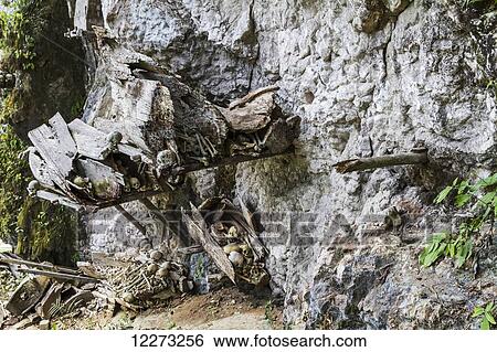Stock Photograph - Wooden coffins and skulls on a rocky outcrop, Kete Kesu, Toraja Land, South Sulawesi, Indonesia. Fotosearch