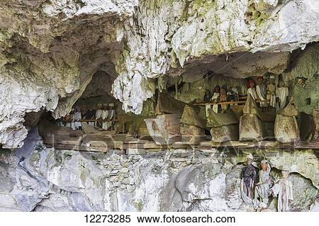 Wooden coffins in a burial cave and graves made in the rock with wood-carved effigies of the deceased, called Tau tau, Tampangallo, Toraja Land, South Sulawesi, Indonesia View Large Photo Image Stock Photography - Wooden coffins in a burial cave and graves made in the rock with wood-carved effigies of the deceased, called Tau tau, Tampangallo, Toraja Land, South Sulawesi, Indonesia. Fotosearch