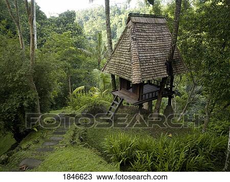 Wooden Hut In Forest; Bali, Indonesia View Large Photo Image Stock Image - Wooden Hut In Forest; Bali, Indonesia. Fotosearch