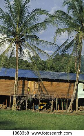 Stock Photo - Wooden Long Houses By Palm Trees. Fotosearch