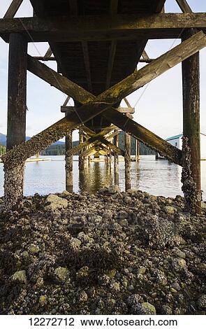 Wooden pier in Burrard Inlet, North Vancouver, British Columbia, Canada View Large Photo Image Stock Image - Wooden pier in Burrard Inlet, North Vancouver, British Columbia, Canada. Fotosearch