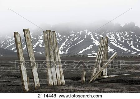 Stock Photo - Wooden Posts On The Shore; Whalers Bay Antarctica. Fotosearch