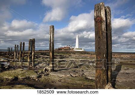 Stock Photo - Wooden Posts With Lighthouse In The Background; Northumberland, England. Fotosearch