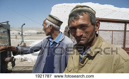 Stock Photo - Workers, Recently Harvested Cotton. Fotosearch