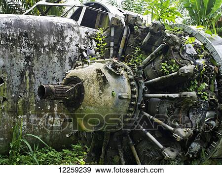 Stock Photo - WW11 aircraft wreck, near Kimbe; West New Britain, Papua New Guinea. Fotosearch