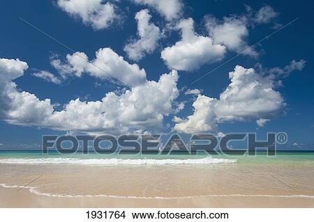 Picture - Yacht In The Distance Off The West Coast Of Barbados; Barbados. Fotosearch