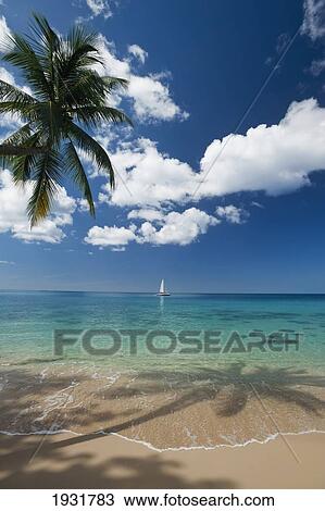 Stock Image - Yacht Off The West Coast Of Barbados; Barbados. Fotosearch