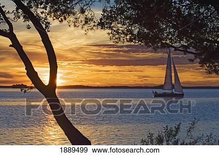 Yacht Sailing On Lake At Sunset. View Large Photo Image Stock Photo - Yacht Sailing On Lake At Sunset.. Fotosearch