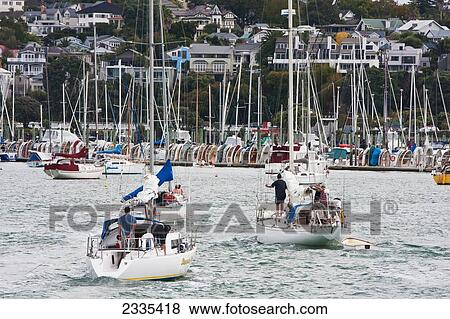 Stock Photo - Yachts In Harbor; New Zealand. Fotosearch
