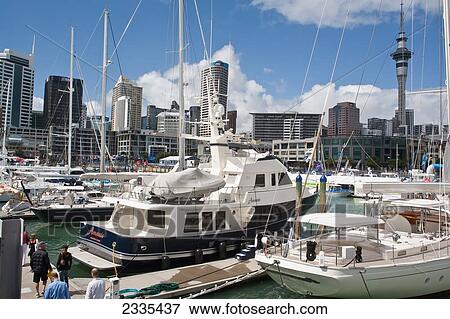 Stock Photo - Yachts In Harbor; New Zealand. Fotosearch
