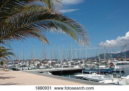 Stock Image - Yachts In Harbor. Fotosearch