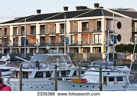 Stock Photo - Yachts In Harbour; New Zealand. Fotosearch