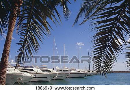 Stock Photo - Yachts In Palma Marina. Fotosearch