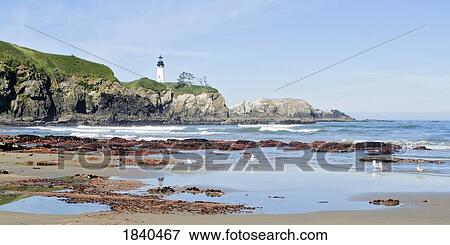 Yaquina Head Lighthouse; Yaquina Head Outstanding Natural Area, Newport, Oregon, Usa View Large Photo Image Stock Photo - Yaquina Head Lighthouse; Yaquina Head Outstanding Natural Area, Newport, Oregon, Usa. Fotosearch