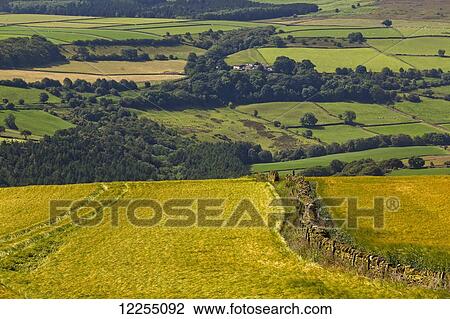 Yellow and green fields; North Yorkshire, England View Large Photo Image Stock Image - Yellow and green fields; North Yorkshire, England. Fotosearch