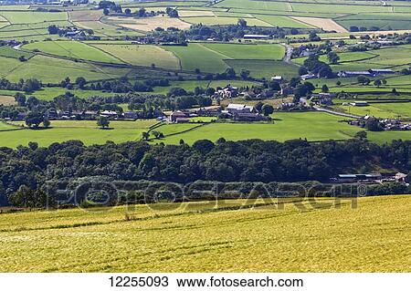 Yellow and green fields; North Yorkshire, England View Large Photo Image Stock Image - Yellow and green fields; North Yorkshire, England. Fotosearch