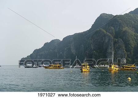 Yellow Boats In Maya Bay; Phi Phi Islands Thailand View Large Photo Image Stock Photo - Yellow Boats In Maya Bay; Phi Phi Islands Thailand. Fotosearch