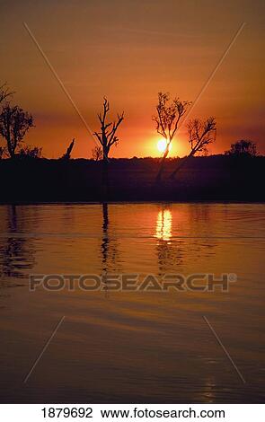 Yellow Water Wetlands View Large Photo Image Stock Image - Yellow Water Wetlands. Fotosearch