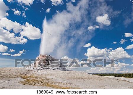 Stock Photo - Yellowstone National Park, United States Of America; The White Dome Geyser Erupting. Fotosearch