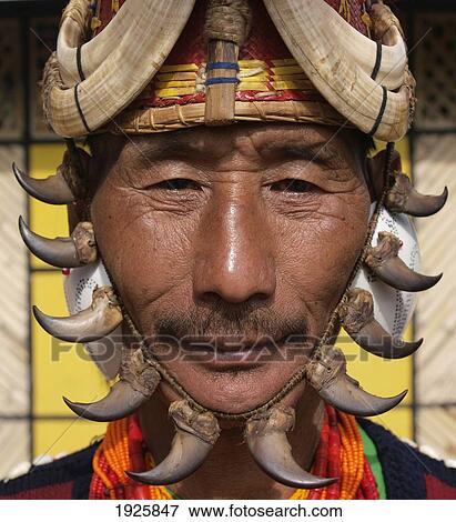 Yimchungru Tribesman During Hornbill Festival, Portrait; Nagaland, India View Large Photo Image Stock Photo - Yimchungru Tribesman During Hornbill Festival, Portrait; Nagaland, India. Fotosearch