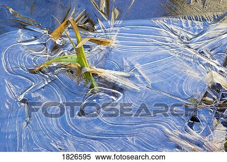 Yosemite, California, Usa; Close-Up Of Ice Patterns View Large Photo Image Stock Photography - Yosemite, California, Usa; Close-Up Of Ice Patterns. Fotosearch