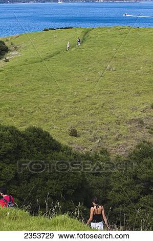 Stock Photo - Young Adults Walking On The Lush Landscape Of Urupukapuka Island; New Zealand. Fotosearch