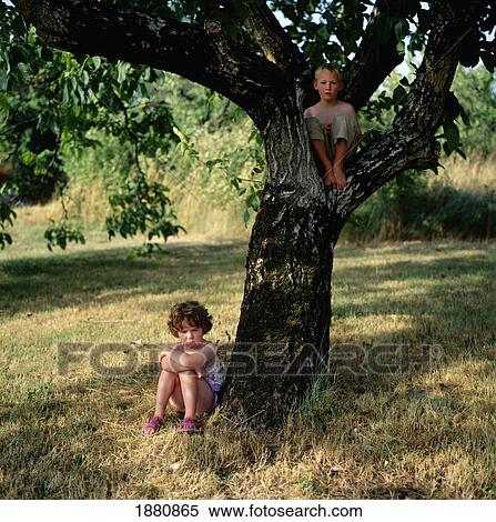 Young Boy And Girl In Walnut Tree View Large Photo Image Stock Photography - Young Boy And Girl In Walnut Tree. Fotosearch