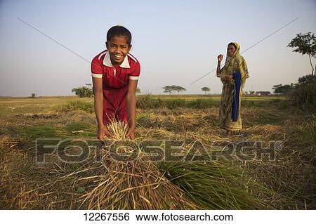 Young boy helping on the farm; Sunamganj, Bangladesh View Large Photo Image Stock Photograph - Young boy helping on the farm; Sunamganj, Bangladesh. Fotosearch