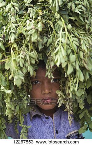 Young boy hiding in the leaves of a tree; Habiganj, Bangladesh View Large Photo Image Stock Image - Young boy hiding in the leaves of a tree; Habiganj, Bangladesh. Fotosearch
