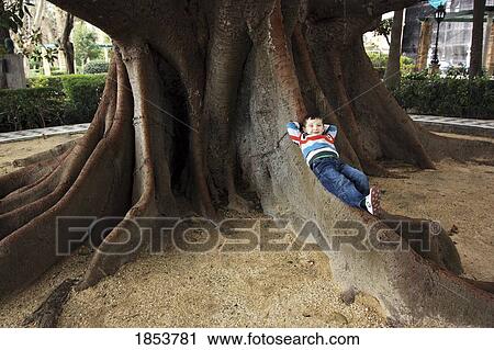 Stock Image - Young Boy Lying On Old Tree's Large Roots, Cadiz, Spain. Fotosearch