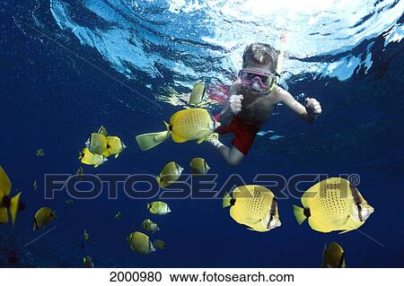 Stock Image - Young Boy Snorkel With Milletseed Butterflyfish (Endemic) Chaetodon Miliaris. Fotosearch