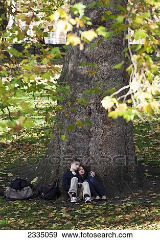 Young Couple Against Tree In St James's Park; London, England, Uk View Large Photo Image Stock Photo - Young Couple Against Tree In St James's Park; London, England, Uk. Fotosearch