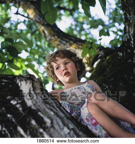 Young Girl Sitting In Walnut Tree. View Large Photo Image Picture - Young Girl Sitting In Walnut Tree.. Fotosearch