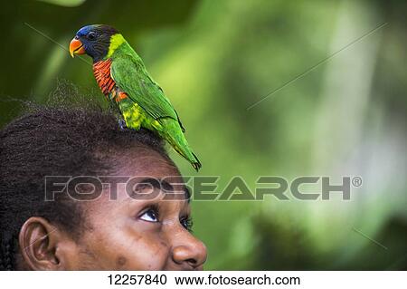 Stock Image - Young girl with a tropical bird resting on her head; Pentacost island, Vanuatu. Fotosearch