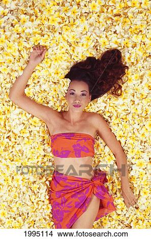 Young Hawaiian Woman Laying In Bed Of Plumeria Flowers View Large Photo Image Picture - Young Hawaiian Woman Laying In Bed Of Plumeria Flowers. Fotosearch